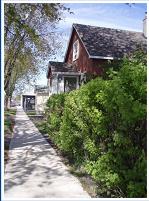 MACHAR AVENUE SUMMER